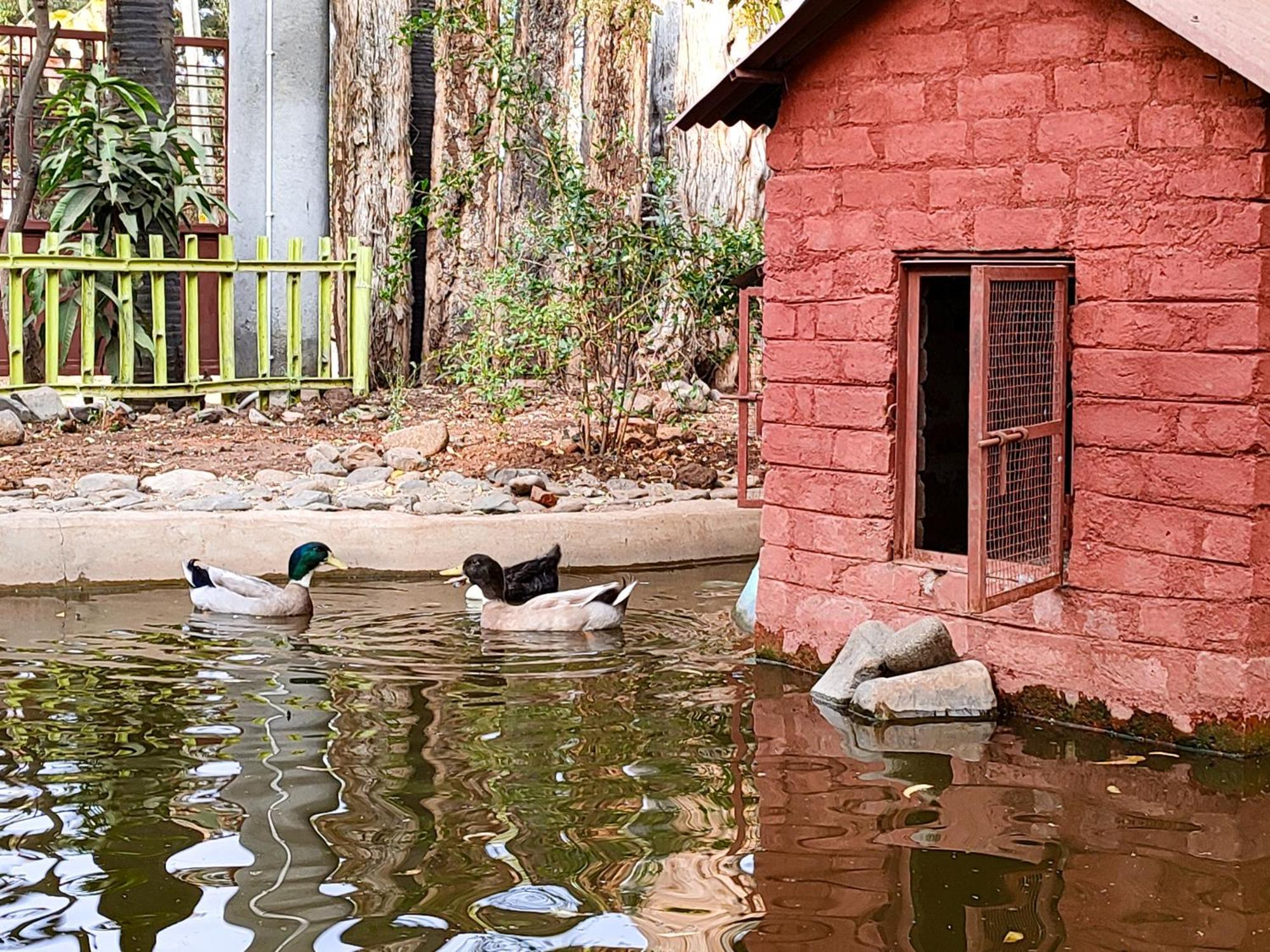 Van Vagdo Resort Rajpipla Bagian luar foto