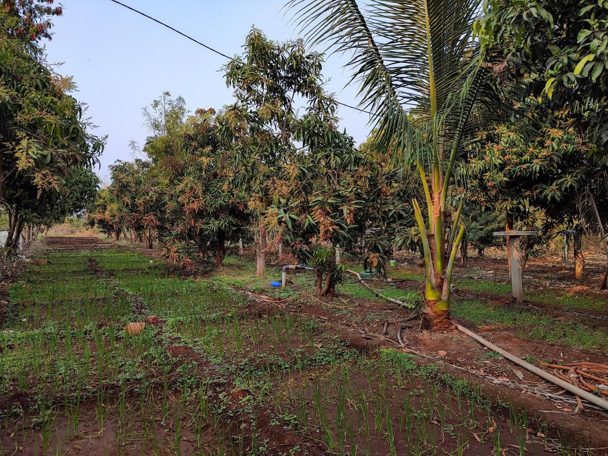 Van Vagdo Resort Rajpipla Bagian luar foto