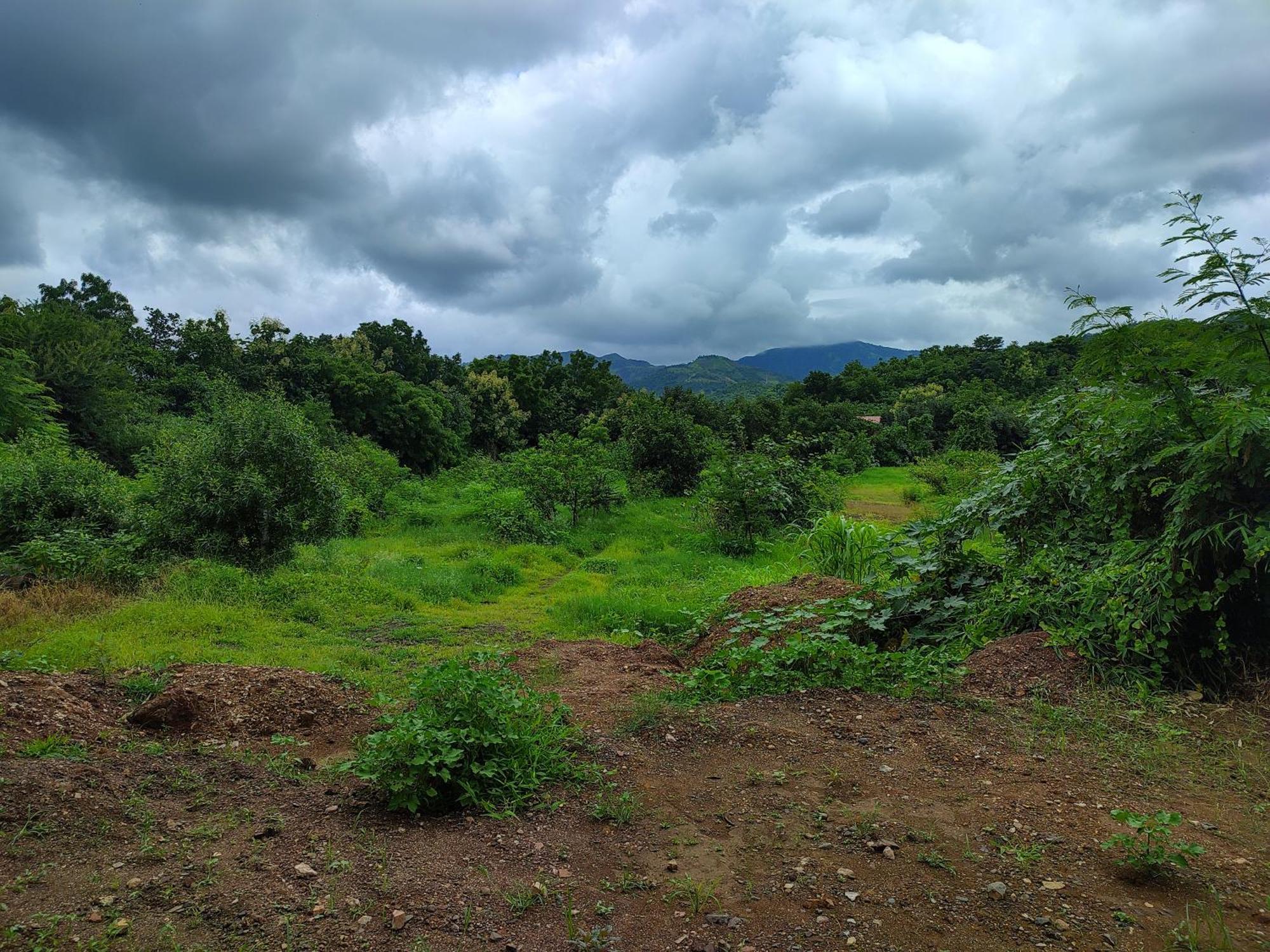 Van Vagdo Resort Rajpipla Bagian luar foto