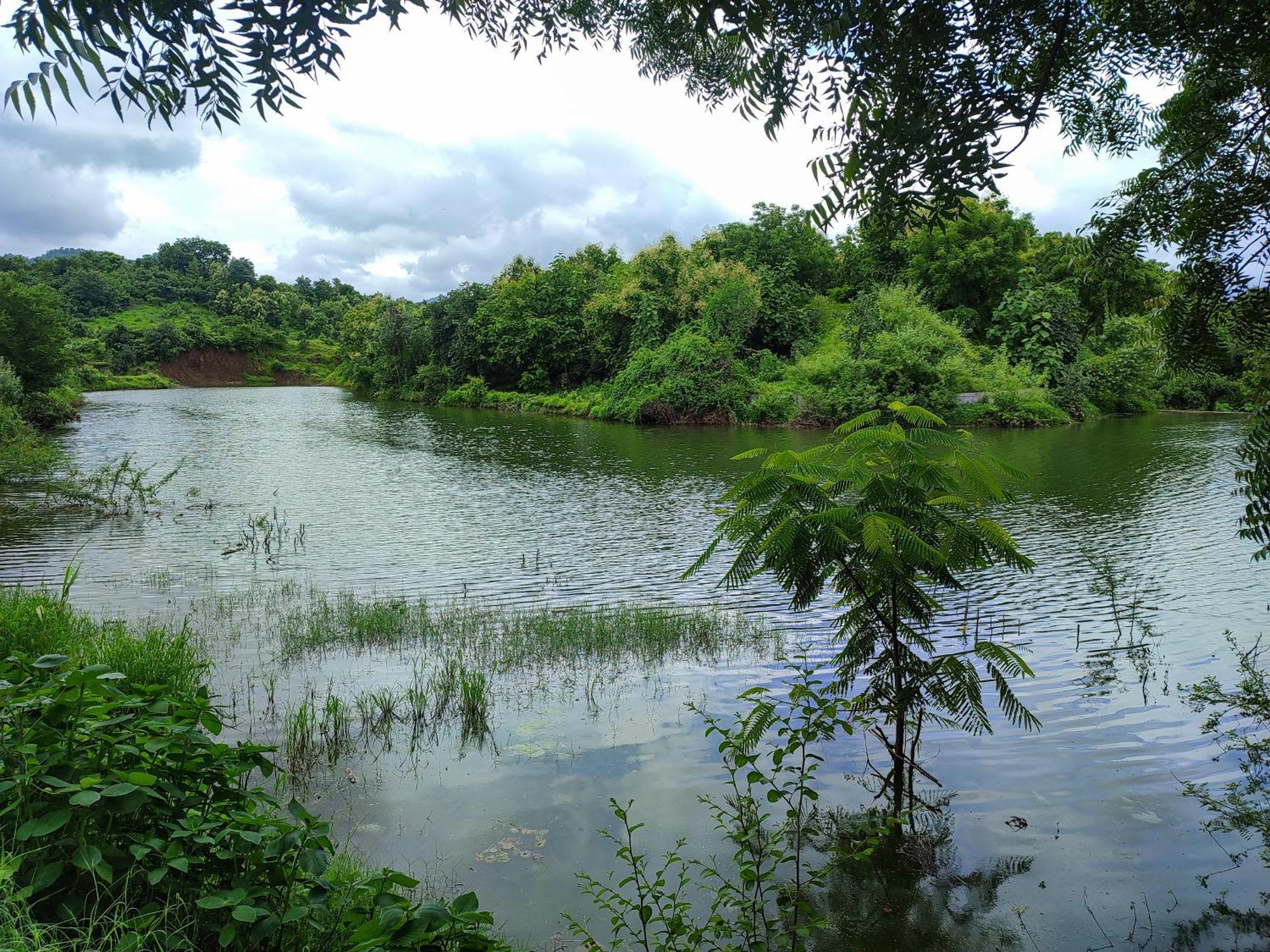 Van Vagdo Resort Rajpipla Bagian luar foto